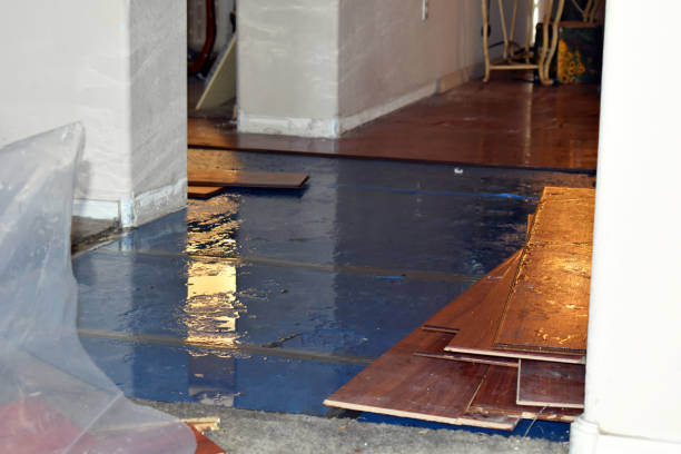 Professional Sewage Cleanup technician working in Junction City, OH